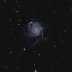 Wall Mural - Pinwheel galaxy