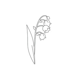 Wall Mural - vector isolated cute simple contour doodle lily valley hand drawing floral herbal sketch. colorless 