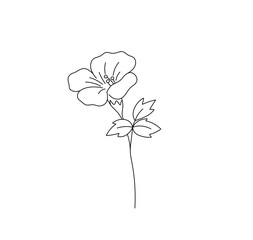 Wall Mural - Vector isolated single pretty flower  on a stem colorless black and white contour line drawing