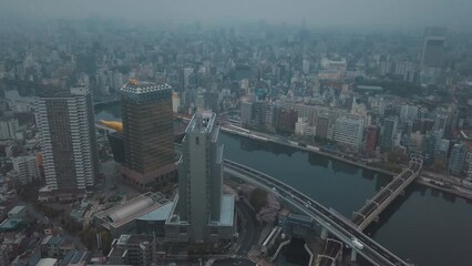 Poster - Aerial drone shot of the cityscape of Tokyo, Japan on a cloudy day