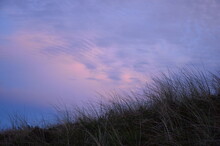 Sunset Sky At Blue Hour Background, Sand Dunes With Grass In Front