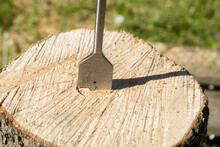 A Carpenter's Drill Drills A Tree Stump
