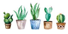 Watercolor Cactus And Succulent Plants In Pot. Watercolor Individual Flower Pot