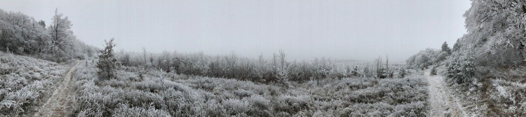Naklejka na meble grass and fence