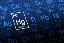 Mercury On Periodic Table Of The Elements. Known As Quicksilver, A Toxic Heavy Metal And Chemical Element, With Symbol Hg For Hydrargyrum And Atomic Number 80. Used In Thermometers And Dental Amalgam.
