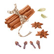 Watercolor spices, cinnamon sticks, anise, cloves, cardamon isolated on white background.