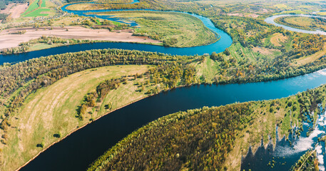 Poster - Panorama Aerial View Green Forest Woods And River Landscape In Sunny Spring Summer Day. Top View Of Nature, Bird's Eye View. Trees Standing In Water During Spring Flood floodwaters. woods in Water