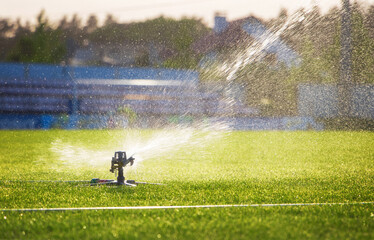 Wall Mural - Automatic sprinkler system watering the lawn. Lawn irrigation.