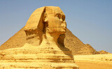Fototapeta  - Głowa Sfinksa w Gizie