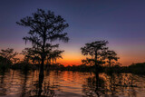 Fototapeta  - Swamp Sunset
