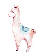 Cute Watercolor Llama, Alpaca Illustration Isolated On White. Llama Print Ethnic Blanket, Flowers Wreath, Floral Bouquet And Boho Mexican Decoration