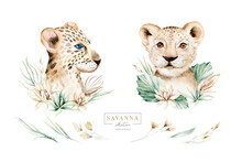 Africa Watercolor Savanna Leopard And Lion, Animal Illustration. African Safari Wild Cat Cute Exotic Animals Face Portrait Character. Zoo Isolated On White Poster Design