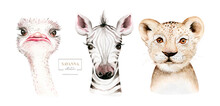 Africa Watercolor Savanna Zebra, Ostrich And Lion Animal. African Safari Cute Animals Portrait Character.Perfect For Wallpaper Print, Poster, Packaging ,invitation, Wedding Design