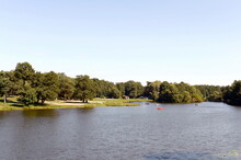 Shibaevsky Pond In The Natural-historical Park "Kuzminki-Lyublino" Of Moscow