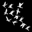 © desertsands - Isolated textured stipple silhouette of white birds flock in the black air Inspirational body flash tattoo ink. Vector.