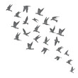 © desertsands - Silhouette of city flying birds on white background. Inspirational body flash tattoo ink. Set of textured stipple grey birds fly swallows, hand made. Vector.