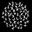 © desertsands - Isolated textured stipple silhouette of white birds flock in the black air Inspirational body flash tattoo ink. Vector.
