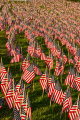 Field of Flags - American Stars and Stripes Everywhere