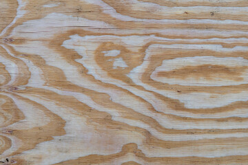 wood texture with natural details used as a background