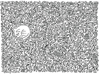 Canvas Print - Hand drawn floral decoration background with cute sleeping cat. Vector scetch flowers doodle isolated on white.