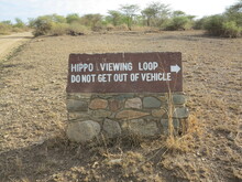 Sign Directing You To The Hippos In Africa And Warning You To Stay Inside The Vehicle