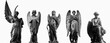 © zwiebackesser - Angels against white background. Horizontal black and white image.