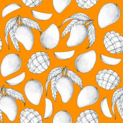 Wall Mural - Mango fruit sketch, hand drawn package design. Vector illustration. Seamless pattern. Mango illustration. Can used for packaging design.