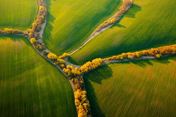 Autocollant - Bird's eye view of abstraction agricultural area and green wavy fields in sunny day.