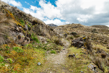 Wall Mural - Hiking footpath in Cajas National Park, Toreadora recreation zone. South America, Ecuador, Azuay province close to Cuenca	