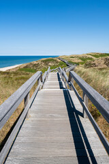 Wall Mural - Dune trail along the North Sea coast, Sylt, Schleswig-Holstein, Germany