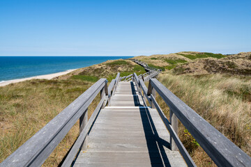 Wall Mural - dune trail along the north sea coast, sylt, schleswig-holstein, germany