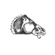 Głowa konia - ilustracja wektoroa