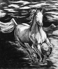 Horse in motion. The horse is galloping. A sketch of a running horse made by a liner