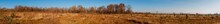 Panorama Of Autumn Tree On A Large Lawn.