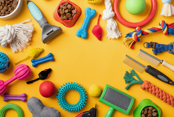 Pet care concept, various pet accessories and tools on yellow background, flat lay