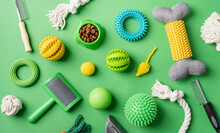 Pet Care Concept, Various Pet Accessories And Tools On Green Background, Flat Lay