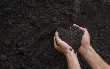 Canvas Print - The soil is in the hands of a man. Selective focus.