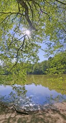 Sticker - Maunzenweiher bei Frankfurt