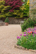 Beautiful vibrant landscape image of quintessential English country garden in Spring or Summer