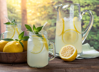 Wall Mural - Glass of lemonade with lemon slices and mint