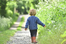 Toddler Wearing Red Wellies Walking Down A Lane In British Summer Time
