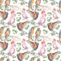 Naklejka na meble 
Parrot tropical birds watercolor illustration hand drawn jungle twigs leaves bright colorful birds macaw cockatoo nature
