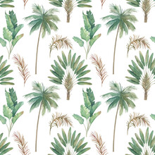Watercolor Jungle Seamless Pattern. Tropical Paradise, Palm Tree. Hand Drawn Illustration