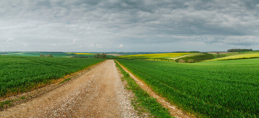 Wall Mural - View across wheat field with dirt track under clouded sky on a fine summer moneing in the Wolds near Sledmere, Yorkshire, UK.