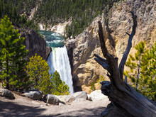 Lower Falls Waterfall In The Grand Canyon Of Yellowstone, Yellowstone National Park, Wyoming, USA. Overlook Of World Famous Waterfall On A Beautiful Sunny Day With Vivid Colors.