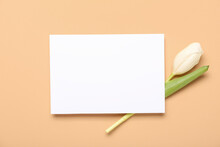 Blank Card And Beautiful Tulip On Beige Background