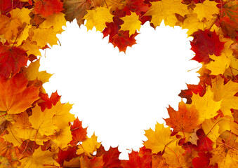 Wall Mural - Autumn maple leaves. Cheerful heart-shaped frame of red, yellow and orange autumn maple leaves isolated on white.