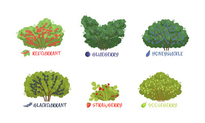 Sticker - Different Garden Berry Shrubs Sort with Name Inscription Vector Set