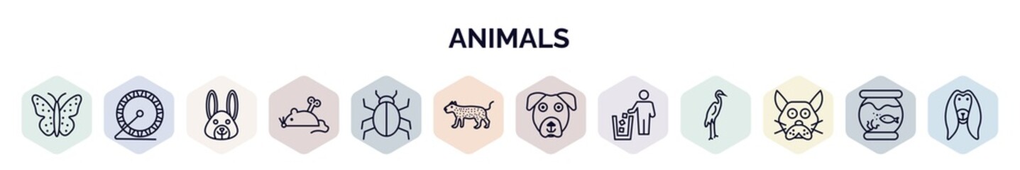 set of animals web icons in outline style. thin line icons such as japanese butterfly, hamster ball, animal, mouse toy, app bug, leopard, boxerhead, litter, japanese cat head icon.
