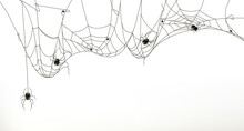 Spiders And Spider Web, Vector Set